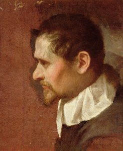 Autorretrato de perfil